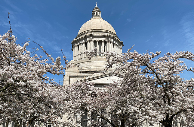 capitol building with trees in spring