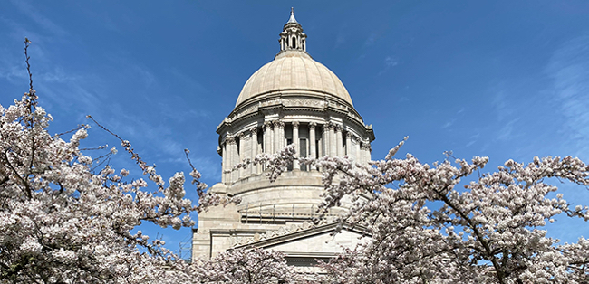 Washington state capitol building in springtime