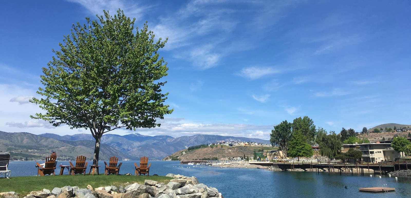mug next to laptop hosting a virtual meeting