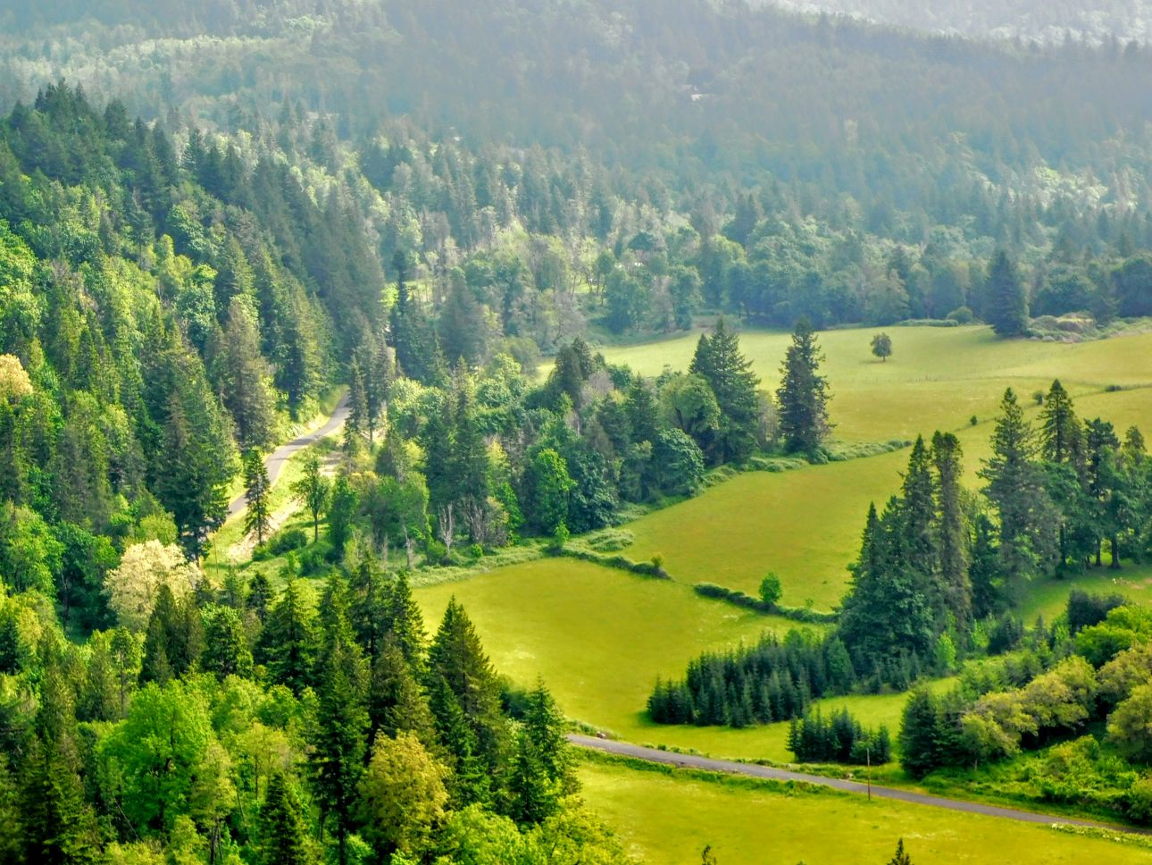 Rural Regioinal Section